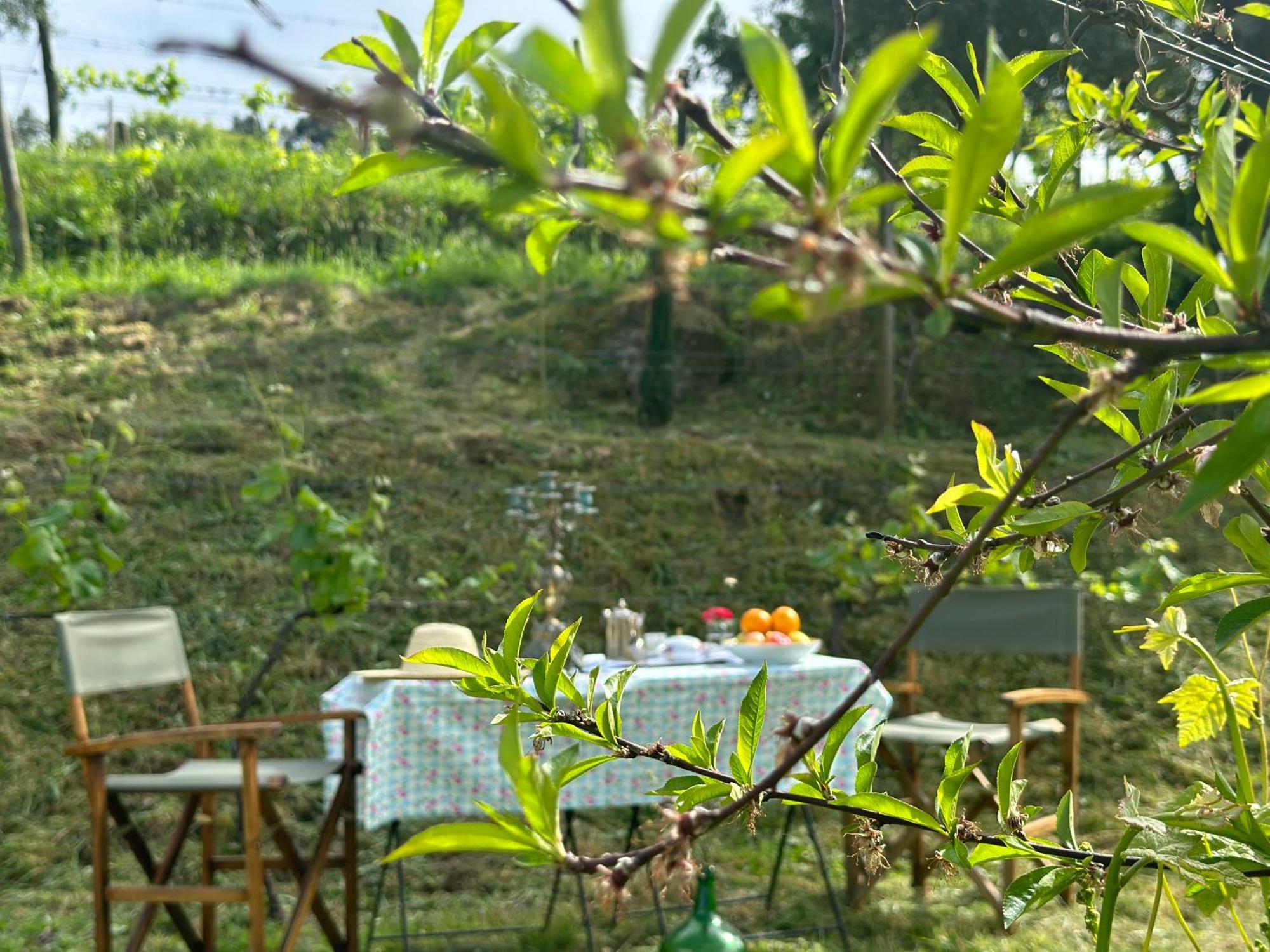 Carmo'S Boutique Hotel - Small Luxury Hotels Of The World Ponte de Lima Ngoại thất bức ảnh